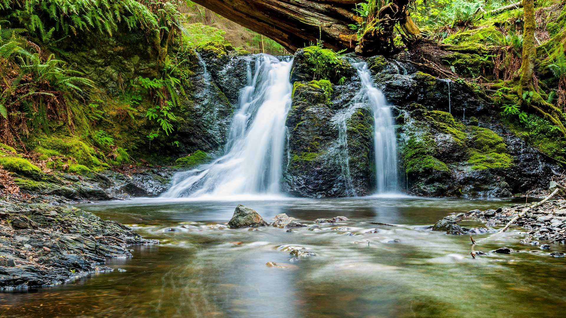 La cascade, au lieu du stage d’été