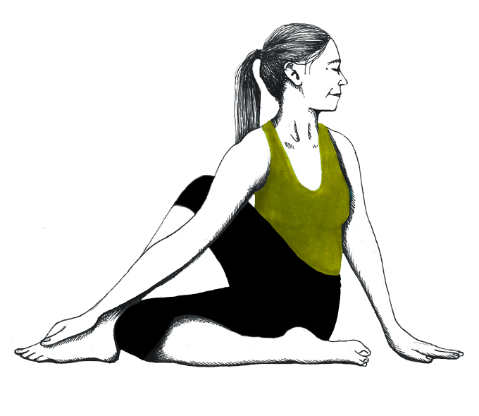 Dessin d’Ardha Matsyendrasana : assise en torsion, une jambe repliée passée par-dessus l’autre, le bras en appui derrière le dos, le regard vers l’arrière.